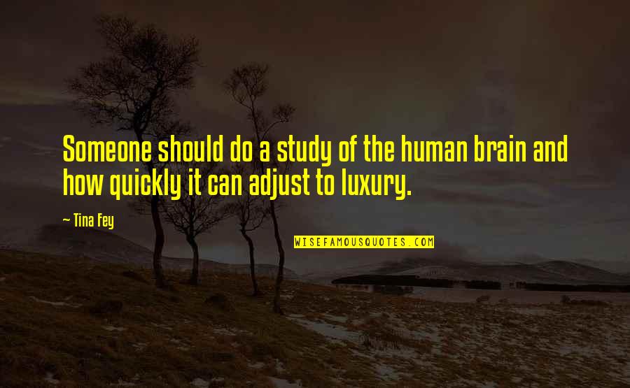 Adjust Quotes By Tina Fey: Someone should do a study of the human
