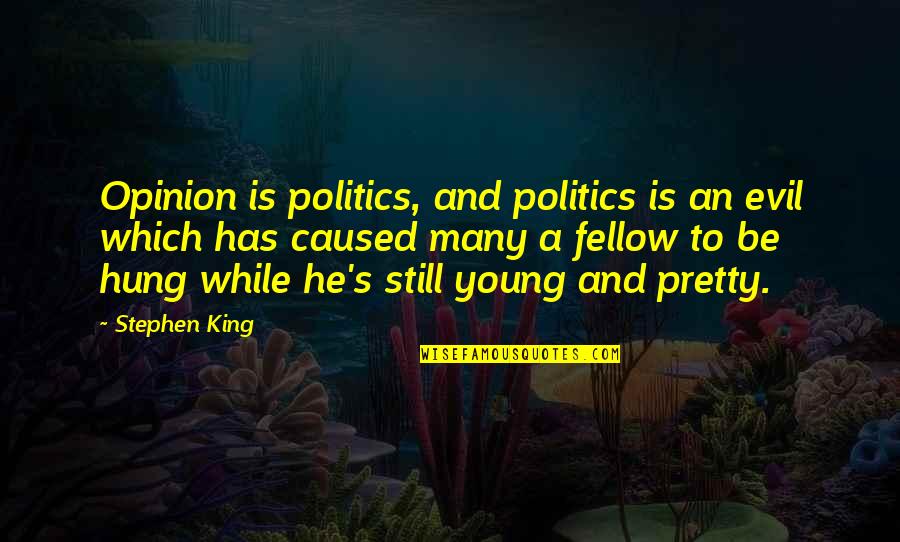 Adjust Yourself Quotes By Stephen King: Opinion is politics, and politics is an evil