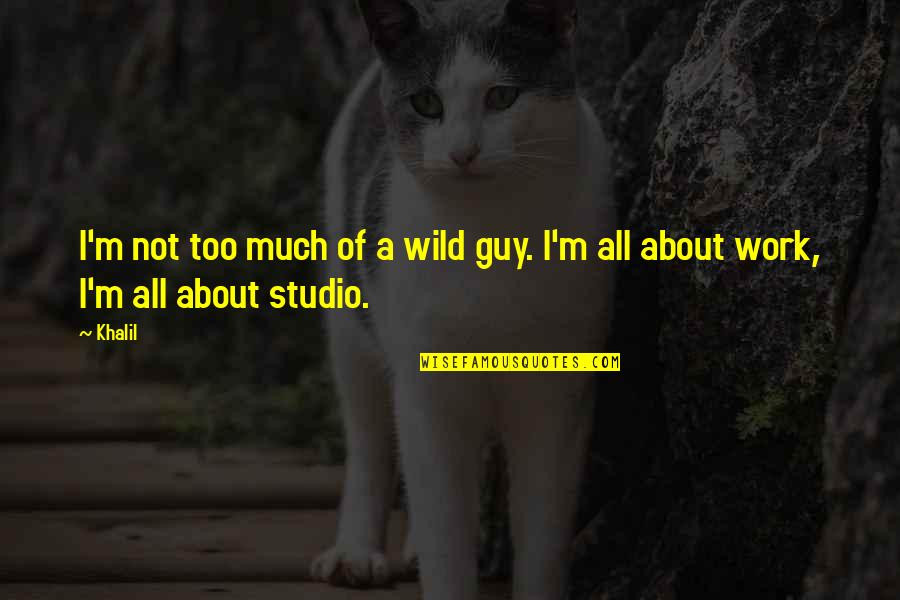 Adjuster Academy Quotes By Khalil: I'm not too much of a wild guy.