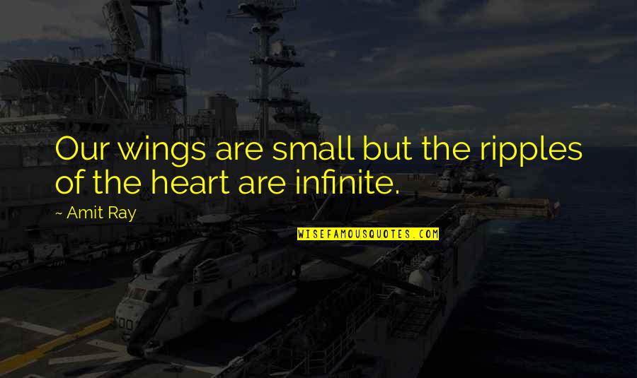 Adjuster Training Quotes By Amit Ray: Our wings are small but the ripples of