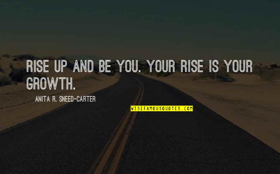 Adlai Stevenson Leadership Quotes By Anita R. Sneed-Carter: Rise up and be you. Your rise is