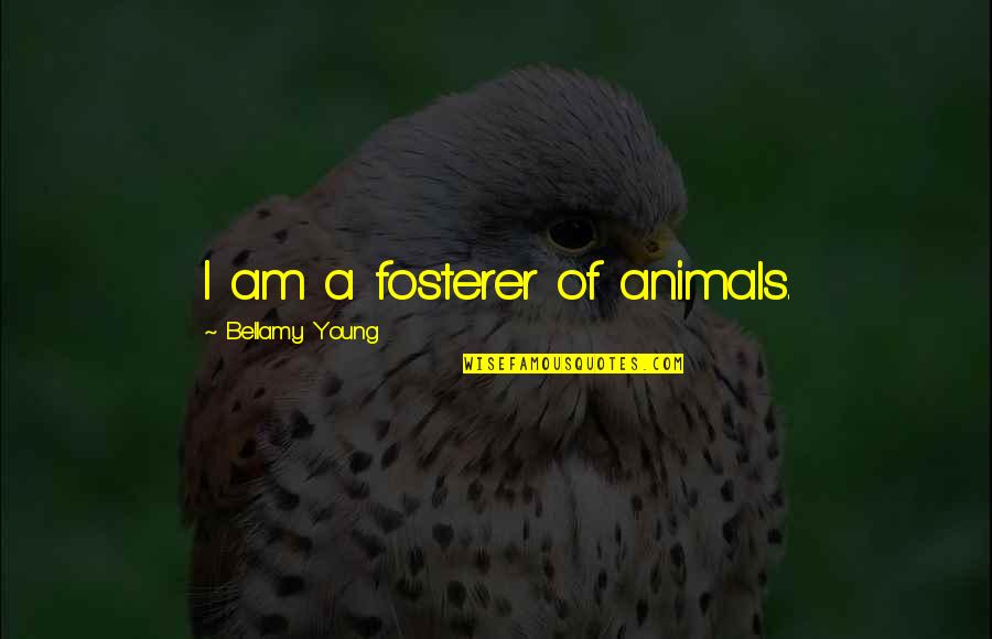 Admidst Quotes By Bellamy Young: I am a fosterer of animals.