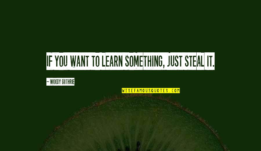 Adminisration Quotes By Woody Guthrie: If you want to learn something, just steal