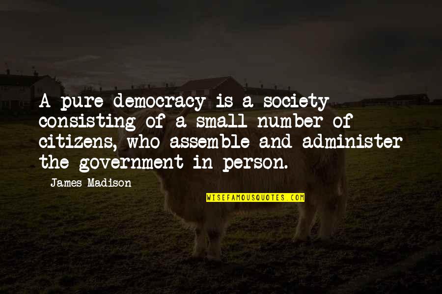 Administer Quotes By James Madison: A pure democracy is a society consisting of