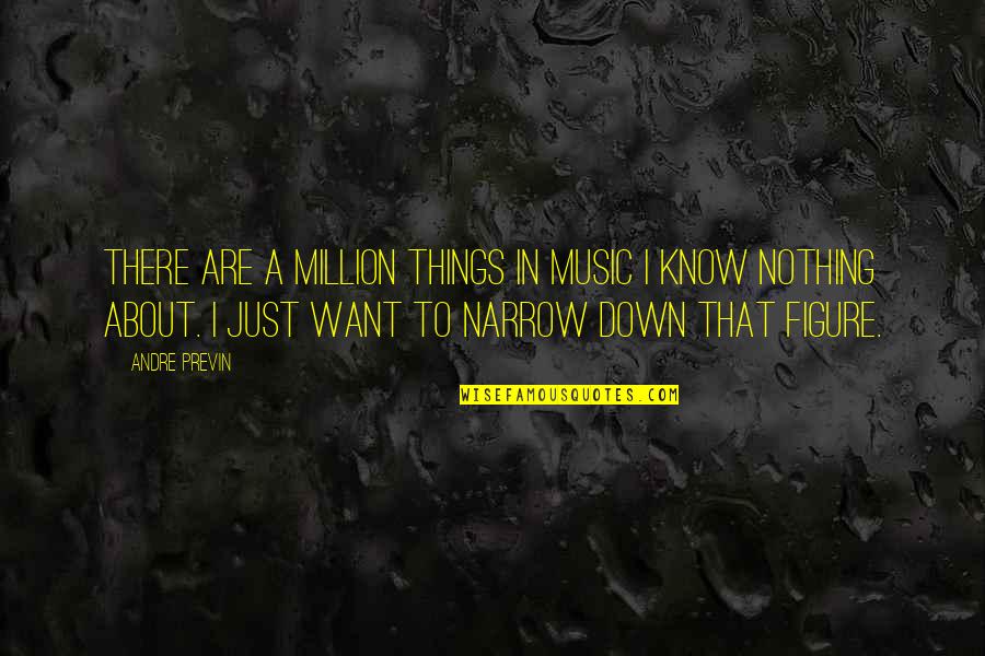 Administrative Thank You Quotes By Andre Previn: There are a million things in music I