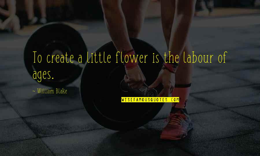 Admiral Halsey Quotes By William Blake: To create a little flower is the labour