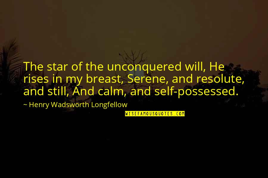 Admiravel Mundo Novo Quotes By Henry Wadsworth Longfellow: The star of the unconquered will, He rises