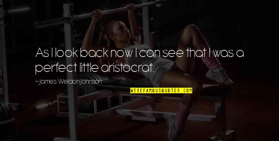 Admitir Portugues Quotes By James Weldon Johnson: As I look back now I can see Admitir Portugues Quotes By James Weldon Johnson: As I look back now I can see