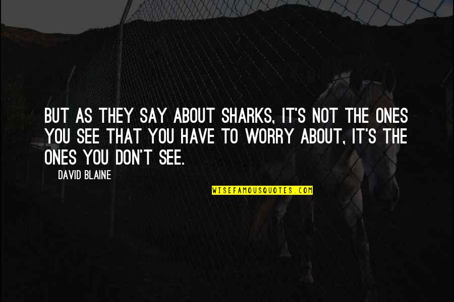 Admitting Flaws Quotes By David Blaine: But as they say about sharks, it's not