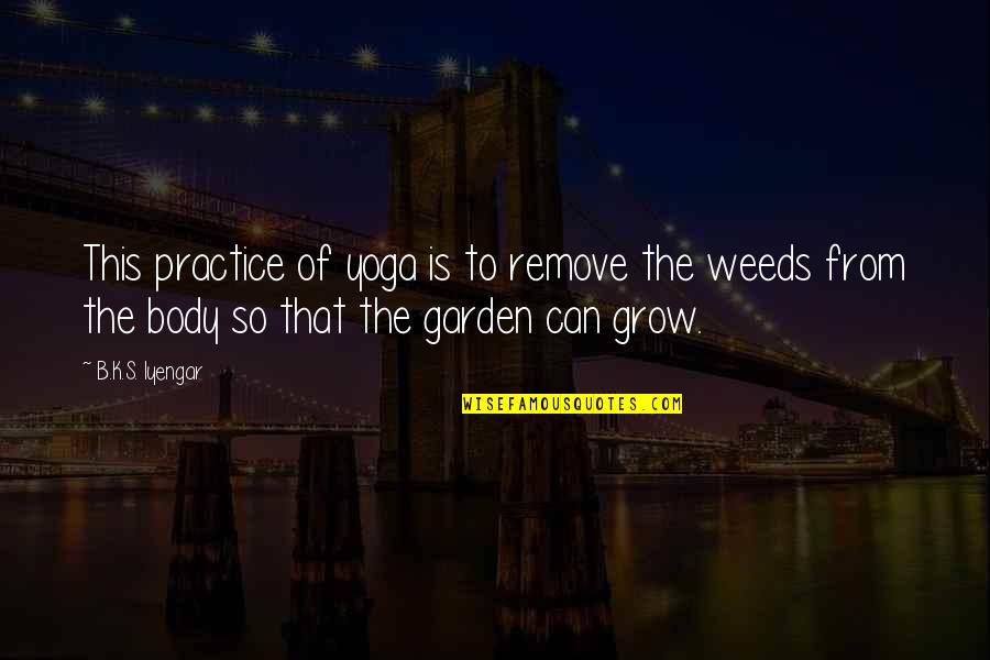 Admonishing Ray Quotes By B.K.S. Iyengar: This practice of yoga is to remove the Admonishing Ray Quotes By B.K.S. Iyengar: This practice of yoga is to remove the