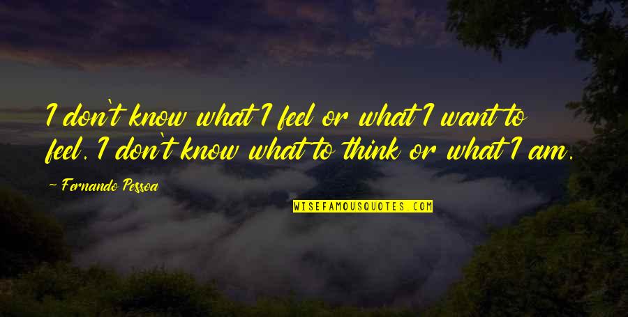 Adolat Cameron Quotes By Fernando Pessoa: I don't know what I feel or what