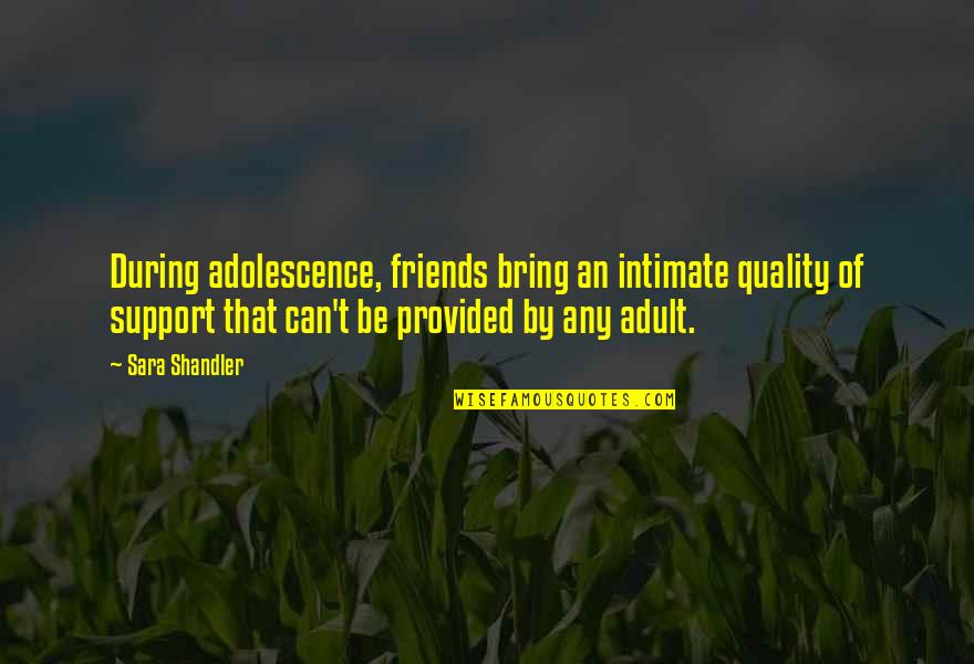 Adolescence And Friends Quotes By Sara Shandler: During adolescence, friends bring an intimate quality of