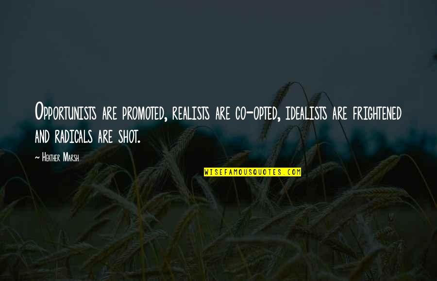 Adolescent Disability Motivation Quotes By Heather Marsh: Opportunists are promoted, realists are co-opted, idealists are Adolescent Disability Motivation Quotes By Heather Marsh: Opportunists are promoted, realists are co-opted, idealists are