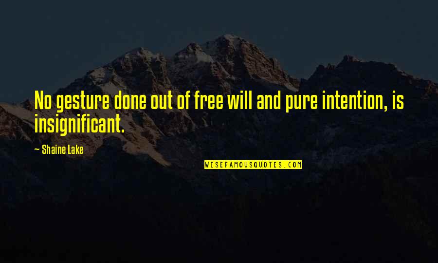 Adolescent Exceptionalism Quotes By Shaine Lake: No gesture done out of free will and