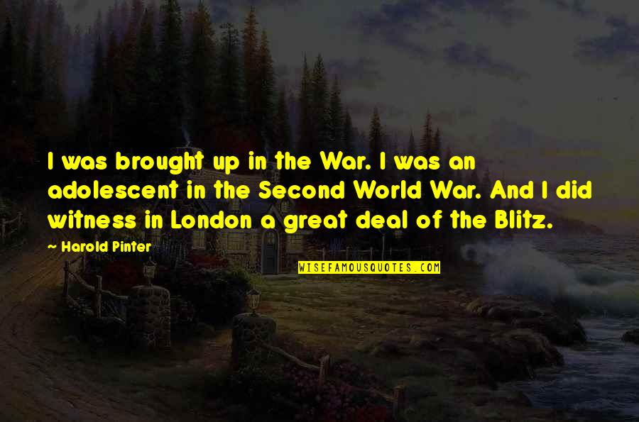 Adolescent Quotes By Harold Pinter: I was brought up in the War. I