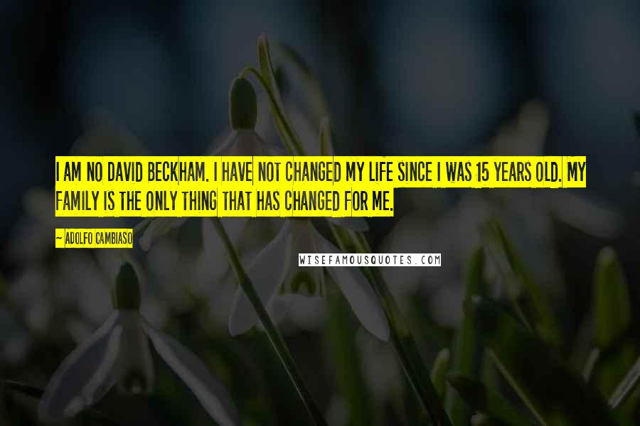 Adolfo Cambiaso quotes: I am no David Beckham. I have not changed my life since I was 15 years old. My family is the only thing that has changed for me.