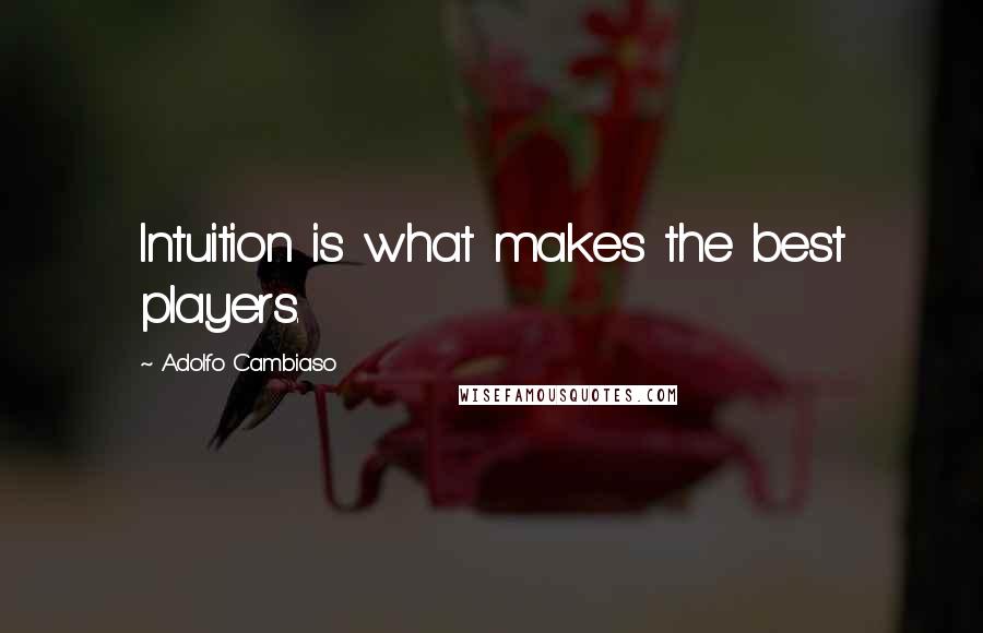 Adolfo Cambiaso quotes: Intuition is what makes the best players.