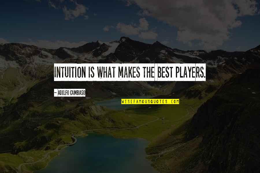 Adolfo Quotes By Adolfo Cambiaso: Intuition is what makes the best players. Adolfo Quotes By Adolfo Cambiaso: Intuition is what makes the best players.
