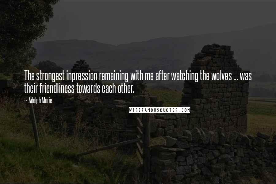 Adolph Murie quotes: The strongest inpression remaining with me after watching the wolves ... was their friendliness towards each other. Adolph Murie quotes: The strongest inpression remaining with me after watching the wolves ... was their friendliness towards each other.