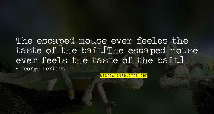Adonai Song Quotes By George Herbert: The escaped mouse ever feeles the taste of