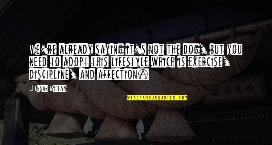 Adopt Dog Quotes By Cesar Millan: We're already saying it's not the dog, but Adopt Dog Quotes By Cesar Millan: We're already saying it's not the dog, but