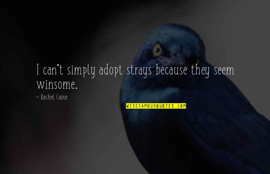 Adopt Quotes By Rachel Caine: I can't simply adopt strays because they seem