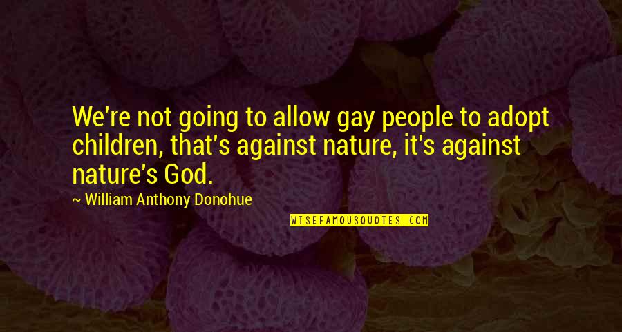 Adopt Quotes By William Anthony Donohue: We're not going to allow gay people to