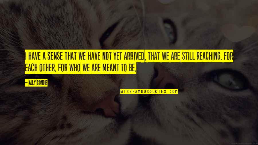 Adoptadores Quotes By Ally Condie: I have a sense that we have not