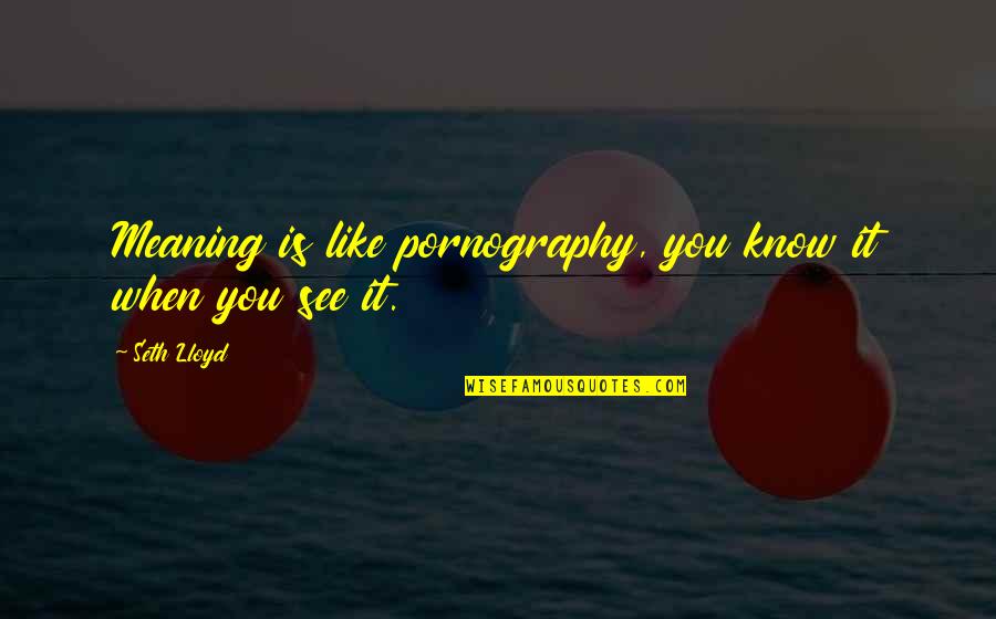 Adoptanten Quotes By Seth Lloyd: Meaning is like pornography, you know it when