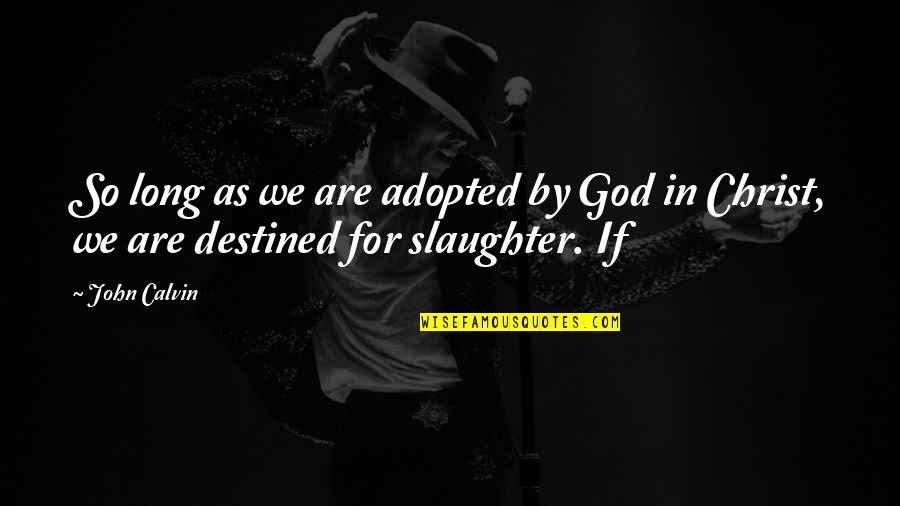 Adopted By God Quotes By John Calvin: So long as we are adopted by God
