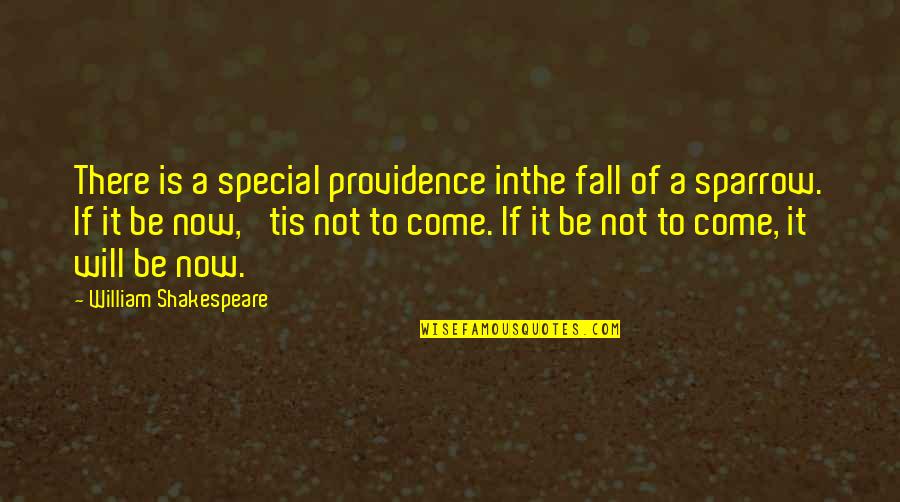 Adopted Little Brother Quotes By William Shakespeare: There is a special providence inthe fall of