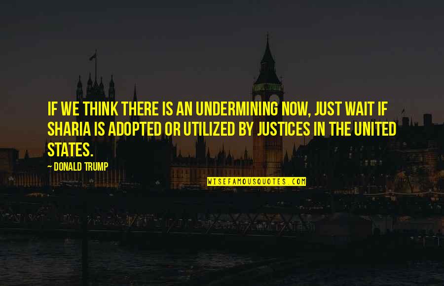 Adopted Quotes By Donald Trump: If we think there is an undermining now,