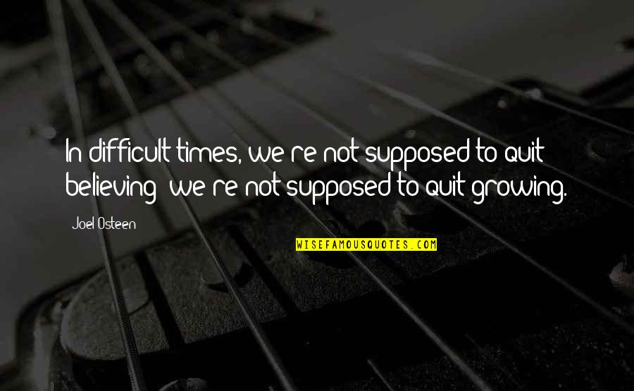 Adopting A Pet Quote Quotes By Joel Osteen: In difficult times, we're not supposed to quit