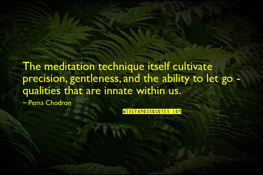 Adoration Of God Quotes By Pema Chodron: The meditation technique itself cultivate precision, gentleness, and