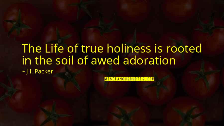 Adoration Quotes By J.I. Packer: The Life of true holiness is rooted in