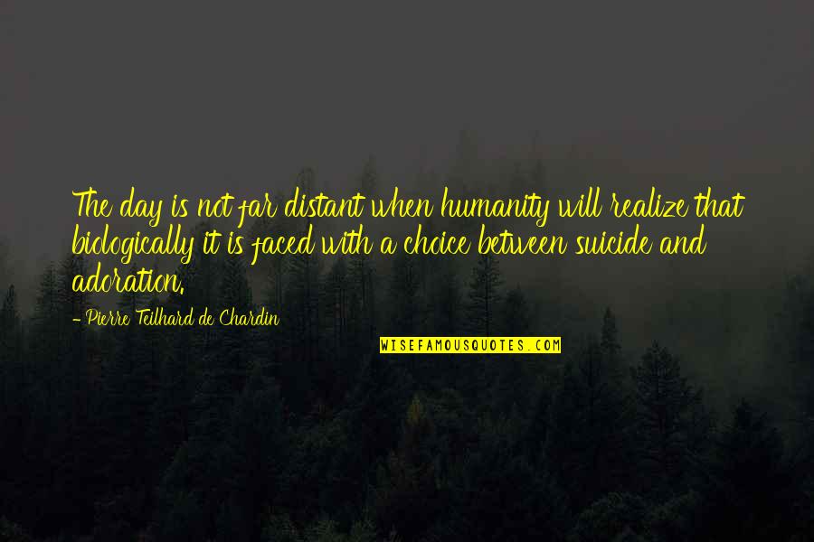 Adoration Quotes By Pierre Teilhard De Chardin: The day is not far distant when humanity
