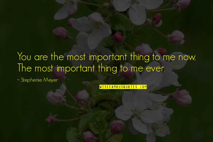 Adoration Quotes By Stephenie Meyer: You are the most important thing to me