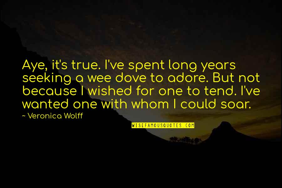 Adore Quotes By Veronica Wolff: Aye, it's true. I've spent long years seeking