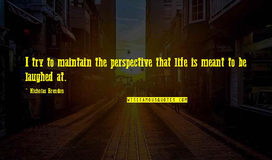 Adorenstudio Quotes By Nicholas Brendon: I try to maintain the perspective that life