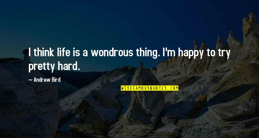 Adorer Quotes By Andrew Bird: I think life is a wondrous thing. I'm