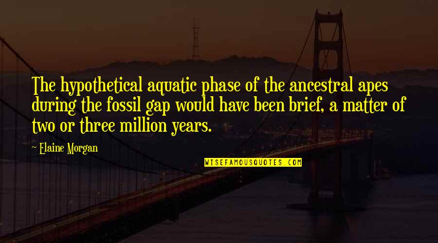 Adormecidas Quotes By Elaine Morgan: The hypothetical aquatic phase of the ancestral apes