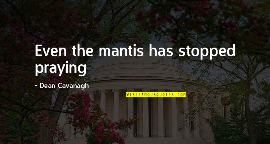 Adormecimiento De Las Manos Quotes By Dean Cavanagh: Even the mantis has stopped praying
