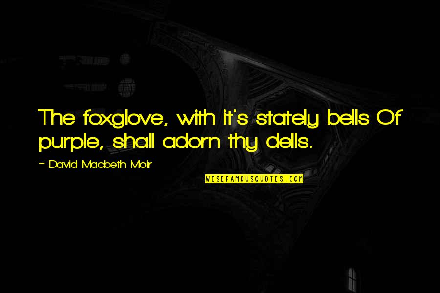Adorn Quotes By David Macbeth Moir: The foxglove, with it's stately bells Of purple, Adorn Quotes By David Macbeth Moir: The foxglove, with it's stately bells Of purple,