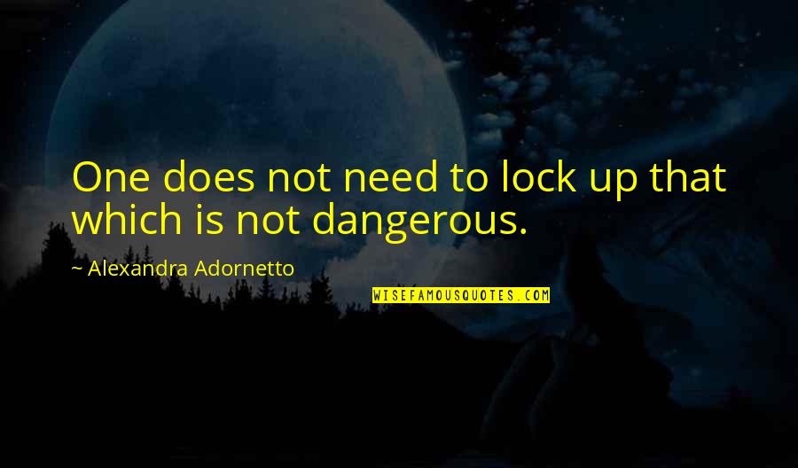 Adornetto Quotes By Alexandra Adornetto: One does not need to lock up that