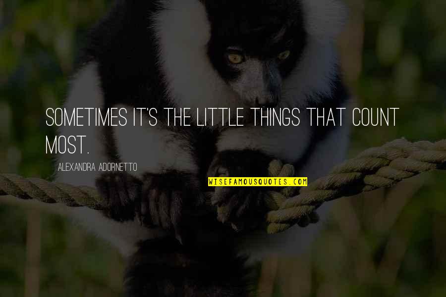 Adornetto Quotes By Alexandra Adornetto: Sometimes it's the little things that count most.