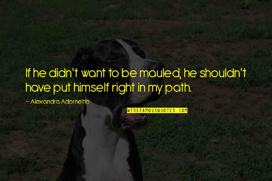 Adornetto Quotes By Alexandra Adornetto: If he didn't want to be mauled, he Adornetto Quotes By Alexandra Adornetto: If he didn't want to be mauled, he
