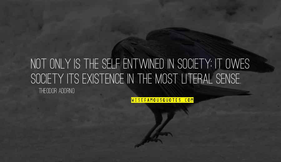 Adorno Quotes By Theodor Adorno: Not only is the self entwined in society;