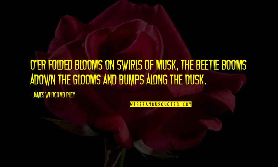Adown Quotes By James Whitcomb Riley: O'er folded blooms On swirls of musk, The