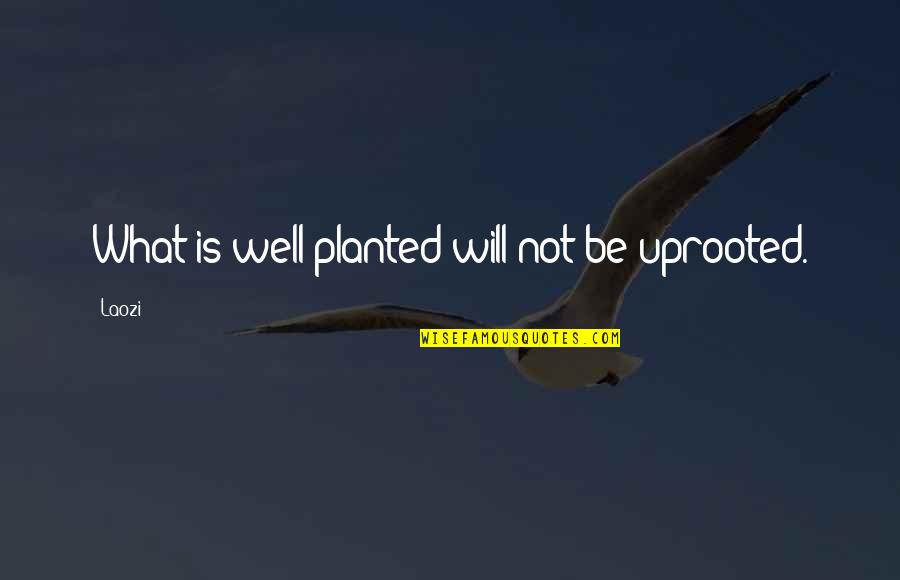 Adpi Lion Quotes By Laozi: What is well planted will not be uprooted.