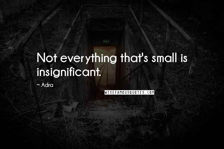 Adra quotes: Not everything that's small is insignificant.